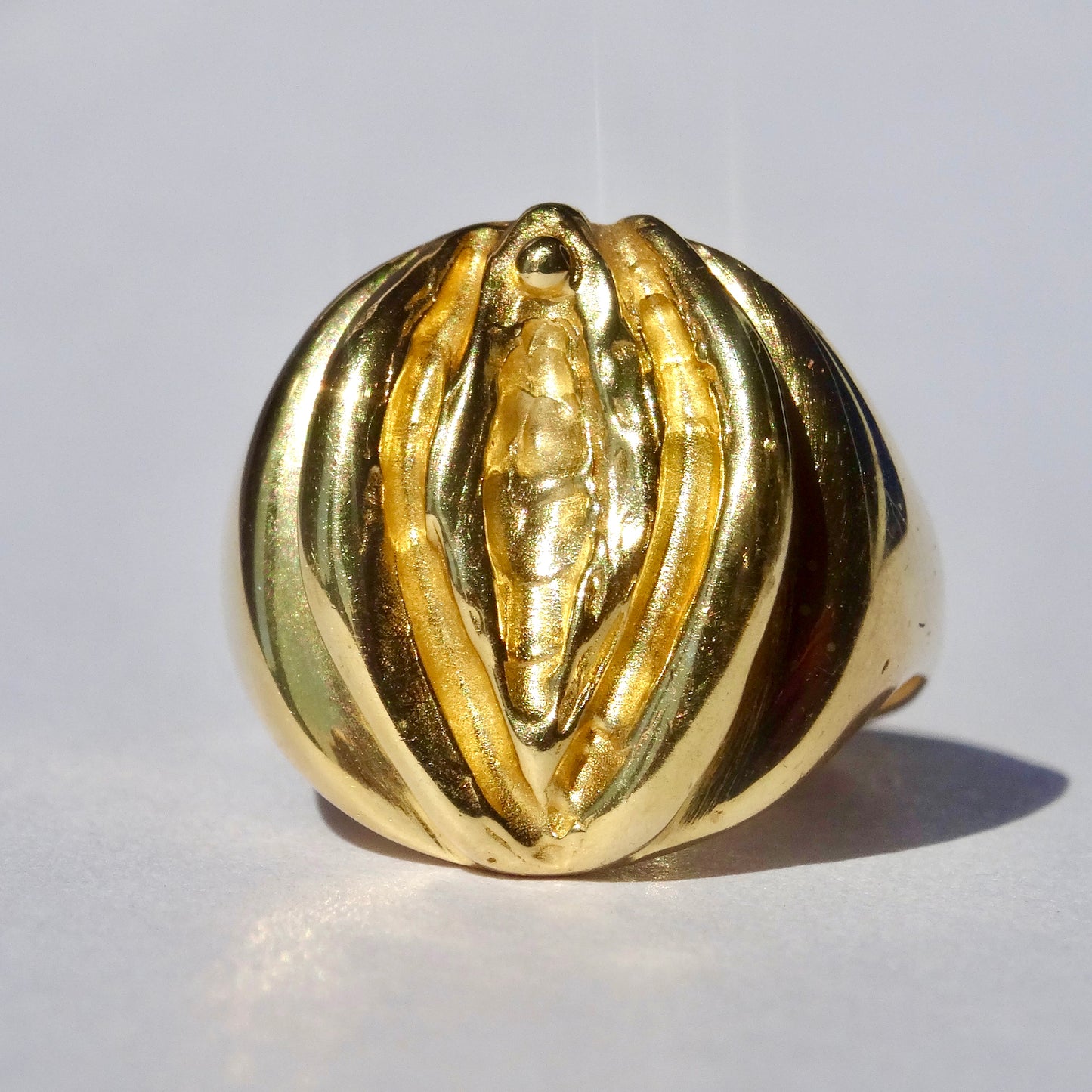 Vulva