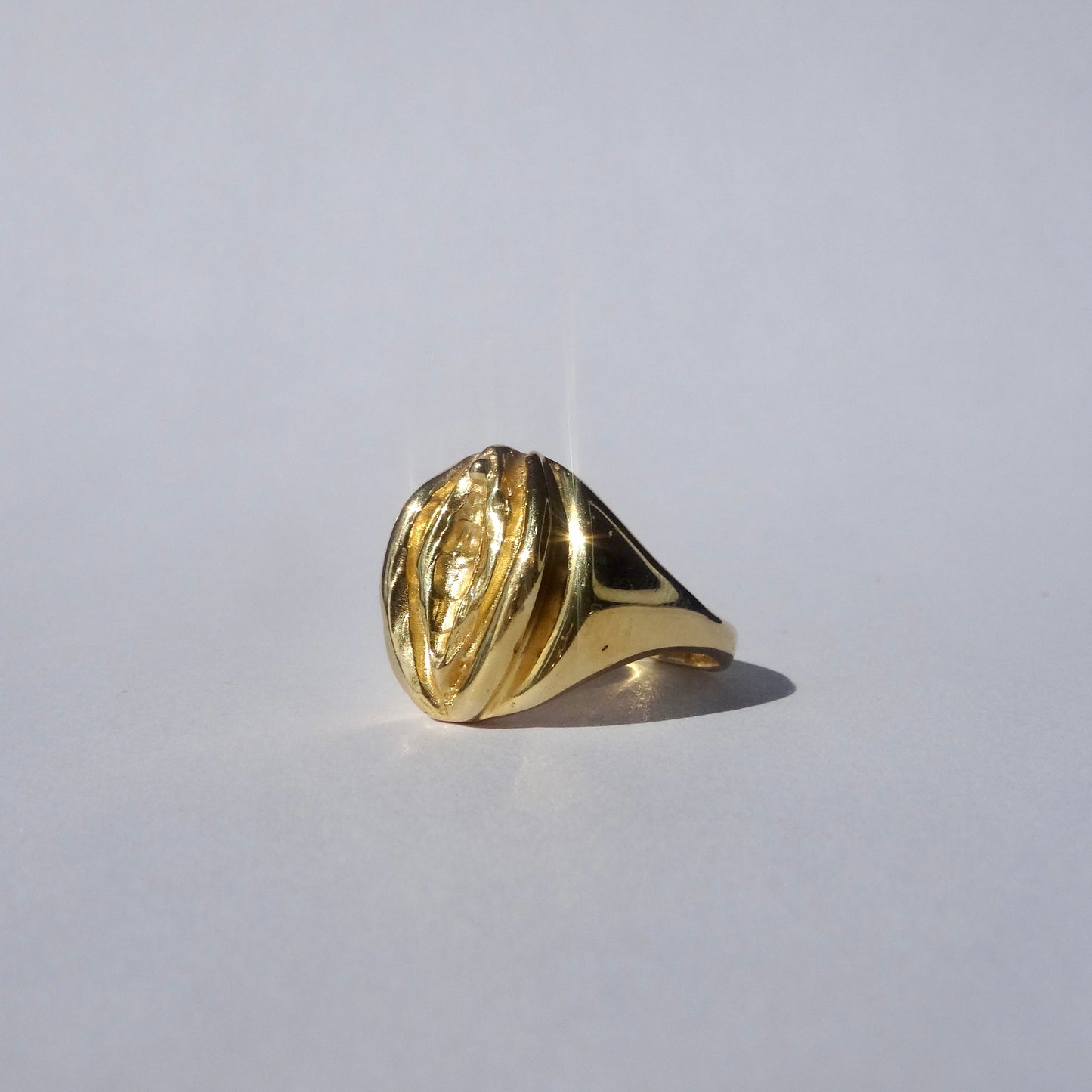 Vulva