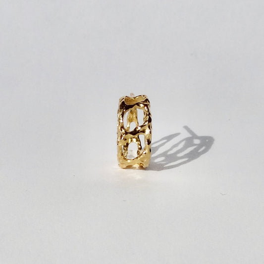 Arrya earrings