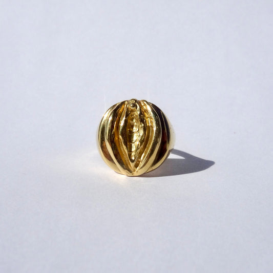 Vulva
